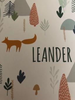 Leander