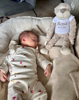 Rosa, Putten